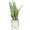 25" Green Snake Faux Foliage Artificial Plant with White Porcelain Pot and Gold Stand